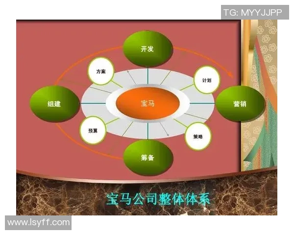足球明星代言品牌的影响力与市场策略分析探讨